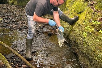 A person stood in a stream, wearing gloves, and collecting a sample of water in a clear plastic bag,