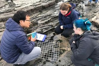 Volunteers conducting a Shoresearch Survey 