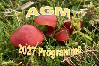Red fungi in grass with AGM and 2027 Programme in text