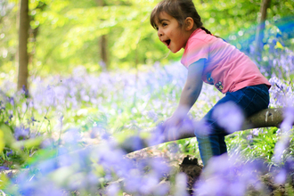 Young girl in bluebells