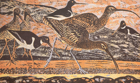 James T.A. Osborne Curlew print