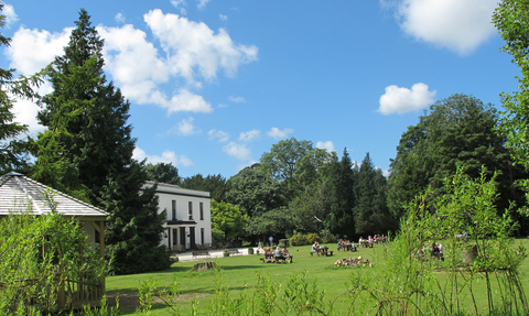 Manor and lawn on a sunny day.