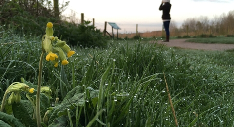 Volunteer with us | The Wildlife Trust of South and West Wales
