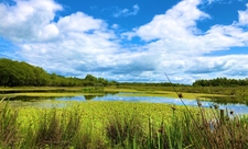 Northern Wetlands at Parc Slip