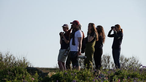 A group of birdwatchers on Skomer looks to the left.