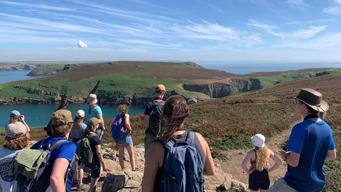 A group of birdwatchers on a guided tour of Skomer. The Neck is in the background.