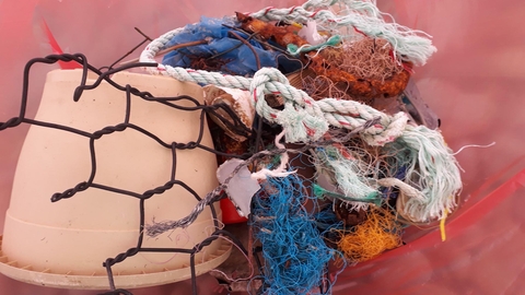 beach clean litter