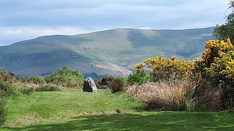 Scene with standing stone with gorse and mountain in the background