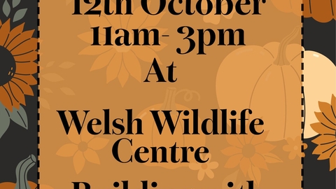 autumn themed poster with cartoon pumpkins