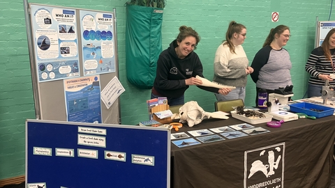 Marine Discovery Stall
