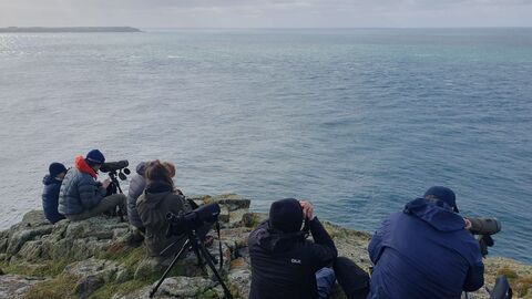 A group of people sit on rocks with telescopes, looking out to sea. Skokholm, another island, is visible in the distance.