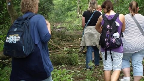group of walkers in woodland