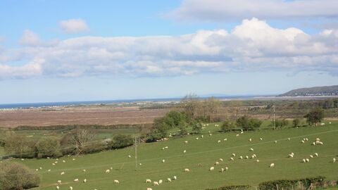 Panorama of Cors Fochno raised mire