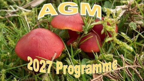 Red fungi in grass with AGM and 2027 Programme in text