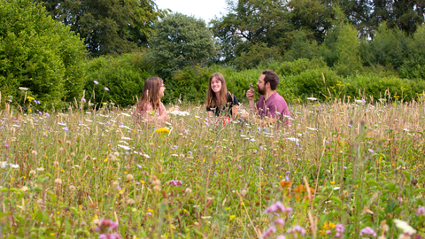 Group sitting in wildflower meadow