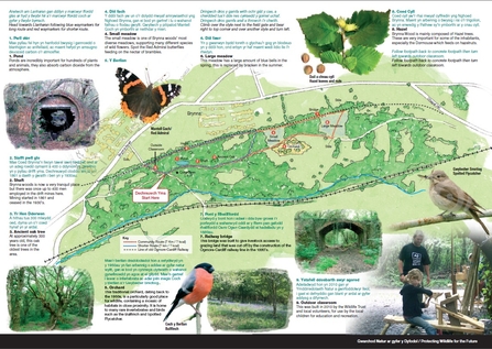 Brynna site map