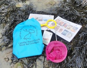 Cardigan bay rockpooling bags