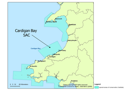 Cardigan Bay SAC MAP