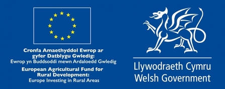 Welsh Gov logo