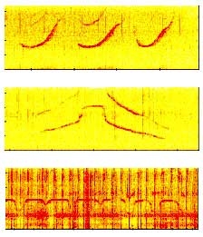 Spectrogram visualisation