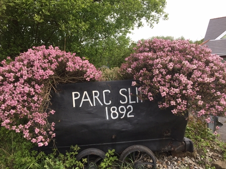 Coal Dram at Parc Slip