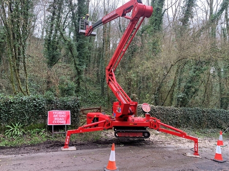 Tree work at Coed y Bwl Nature Reserve