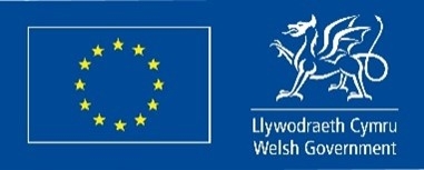 Welsh government logo