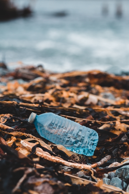 beach rubbish