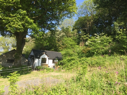 Oak Tree Cottage