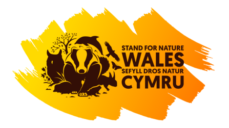 logo stand for nature wales