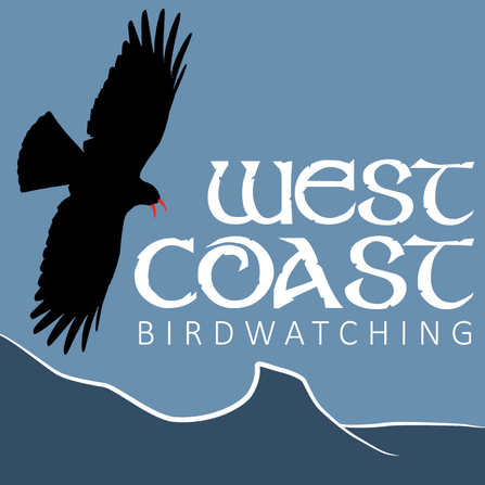 Commercial Operator on Skomer - West Coast Birdwatching