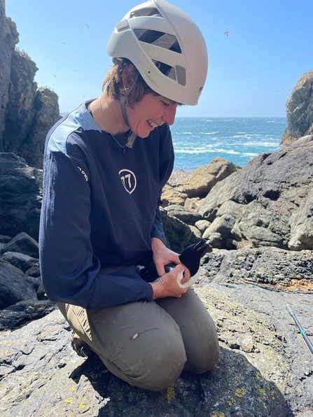 Skomer warden holding razorbill