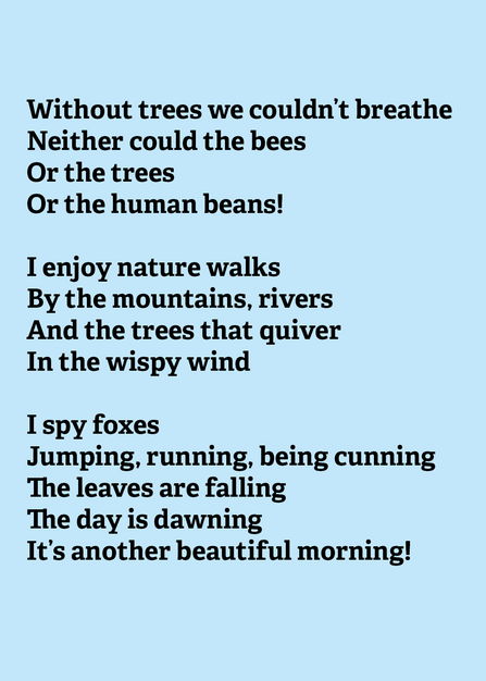 Ethan's poem