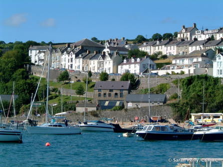 New Quay and the Cardigan Bay Marine Wildlife Centre