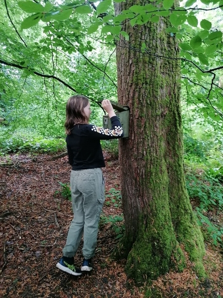 Checking nest boxes