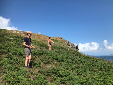 Rob, Skomer Visitor Officer, Manx shearwater census