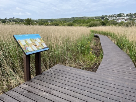 New Boardwalk and Interpretation at Goodwick Moor Nature Reserve.