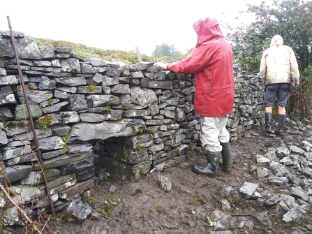 Wall at Allt Rhongyr Nature Reserve