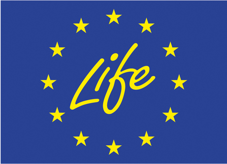 Life logo