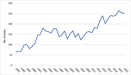 Figure 1 Number of pups born on Skomer 1983 - 2023