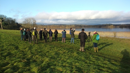 Winter bird walk