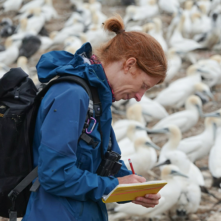 Lisa writing in a notebook with lots of gannets behind her. 