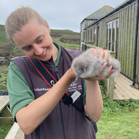 Grace holding a Manx shearwater chick. 