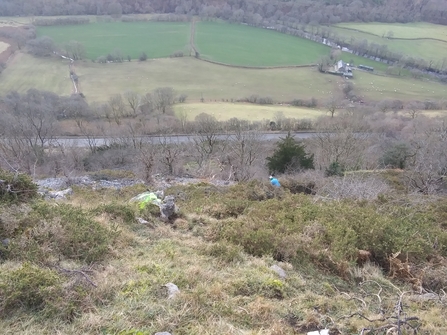 Contractor Cutting Cotoneaster at Darren Fawr Nature Reserve