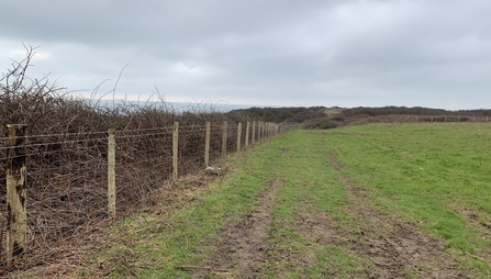 Roydon's Corner Nature Reserve New Fencing