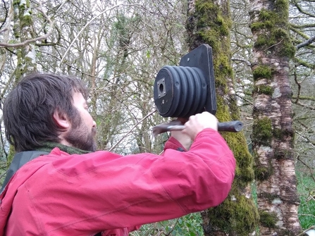 Repurposed drainage pipe bird box