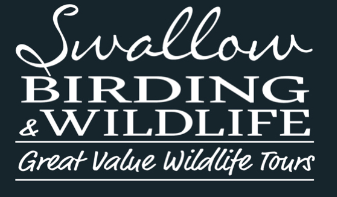 Swallow Birding & Wildlife Logo - Reads "Great Value Wildlife Tours"