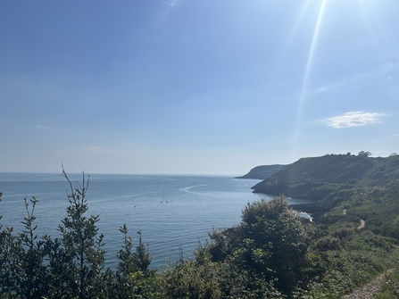 View of coastline on a sunny day.