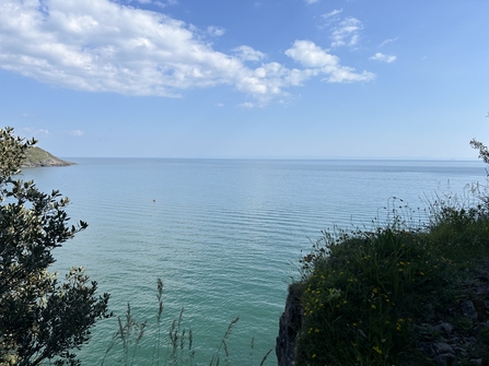 A view from the coast on a sunny day.