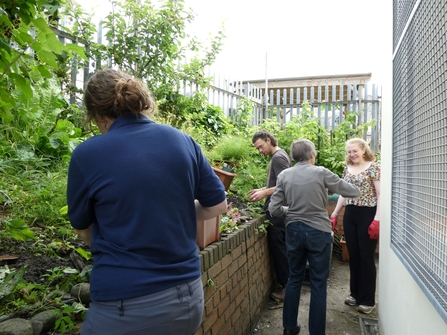 Group of volunteers of various ages work together on a raised bed in a community garden.